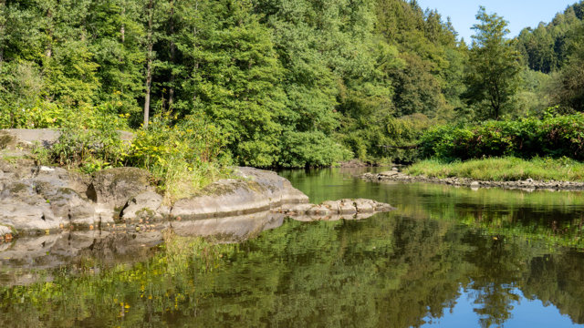 Wupper in Solingen-Burg Wupper in Solingen-Burg
